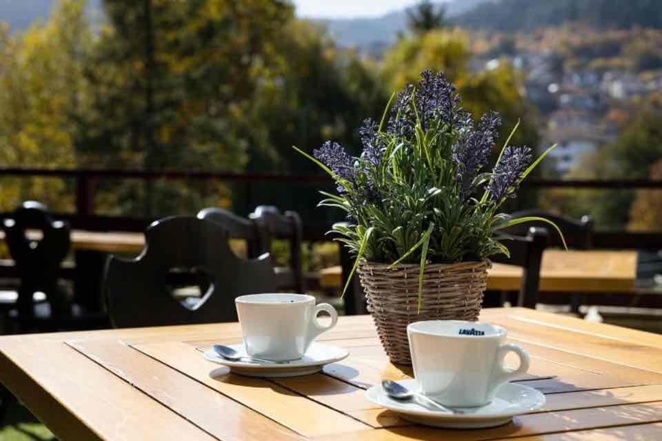 Devin Spa Hotel Zewnętrze zdjęcie