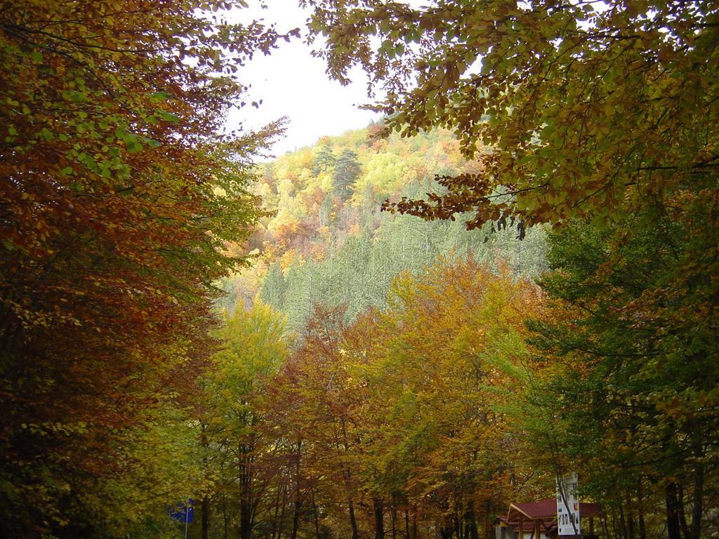 Devin Spa Hotel Zewnętrze zdjęcie