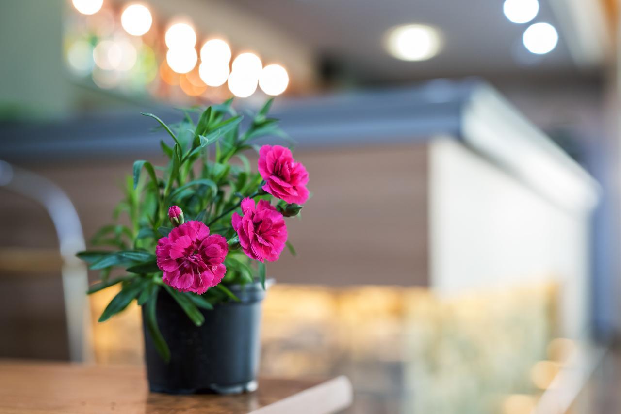 Devin Spa Hotel Zewnętrze zdjęcie